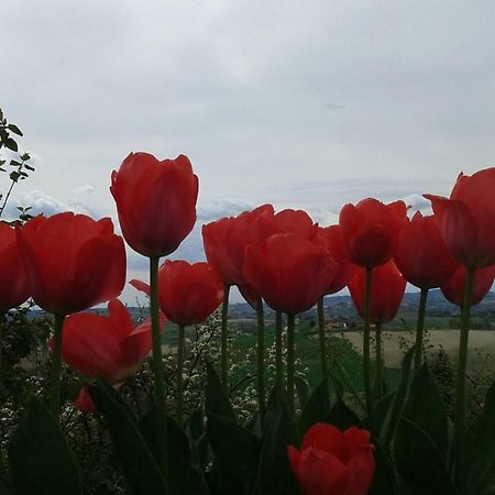 B&B Monferrato La Casa Sui Tetti Murisengo Luaran gambar