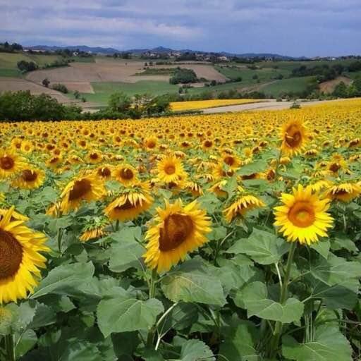 B&B Monferrato La Casa Sui Tetti Murisengo Luaran gambar