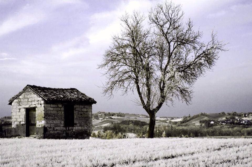 B&B Monferrato La Casa Sui Tetti Murisengo Luaran gambar