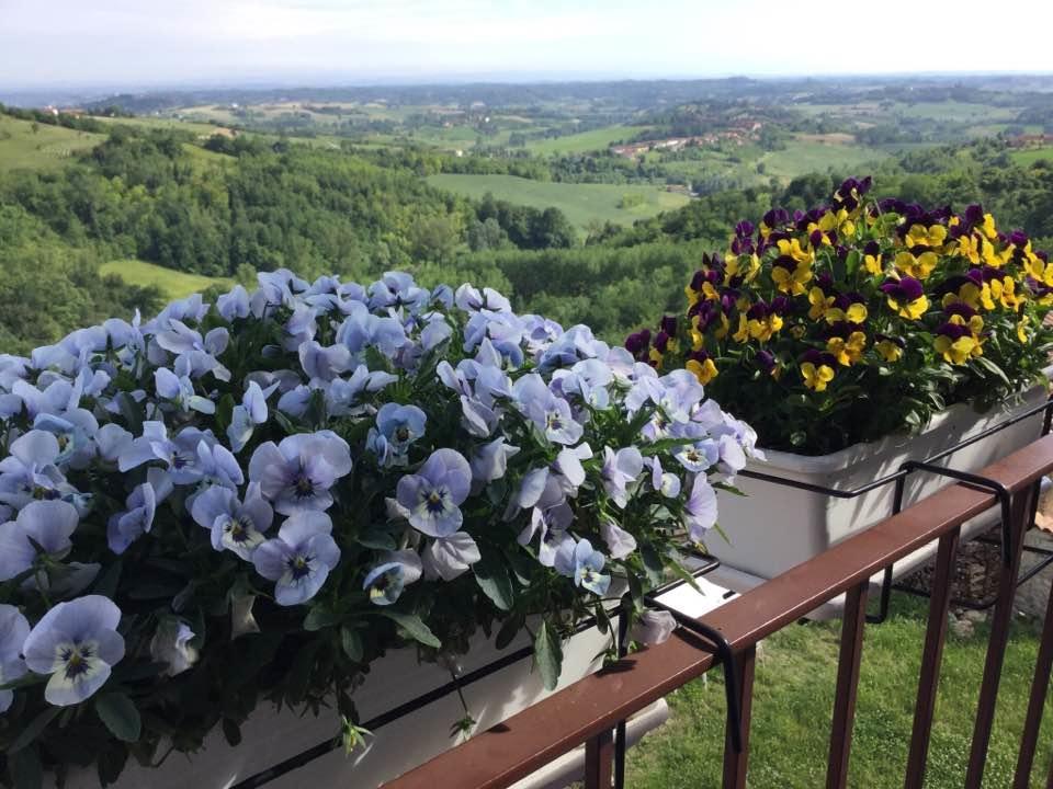 B&B Monferrato La Casa Sui Tetti Murisengo Luaran gambar