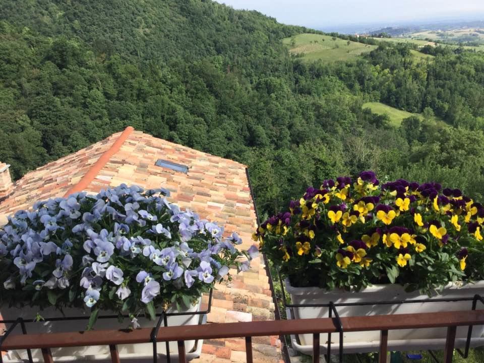 B&B Monferrato La Casa Sui Tetti Murisengo Luaran gambar