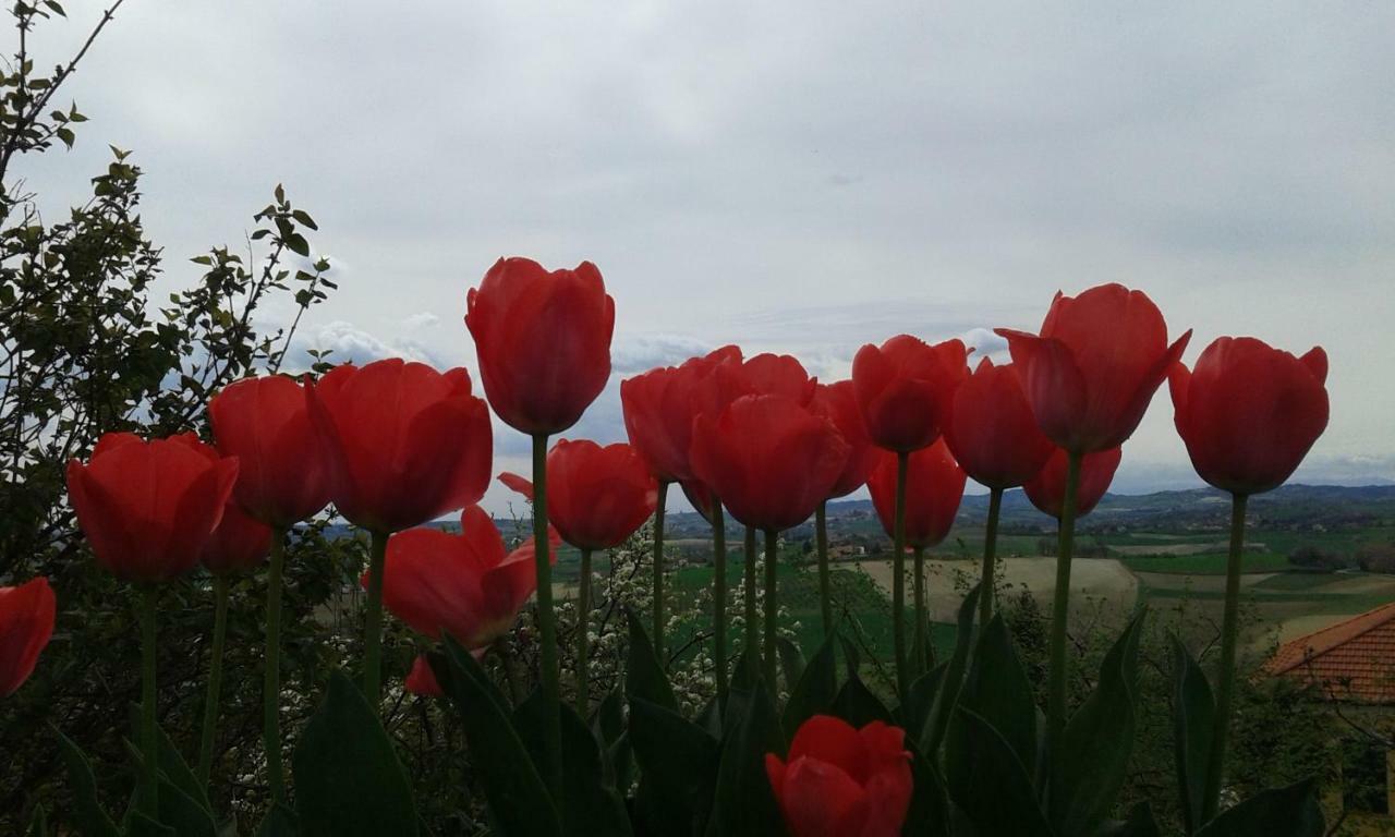 B&B Monferrato La Casa Sui Tetti Murisengo Luaran gambar